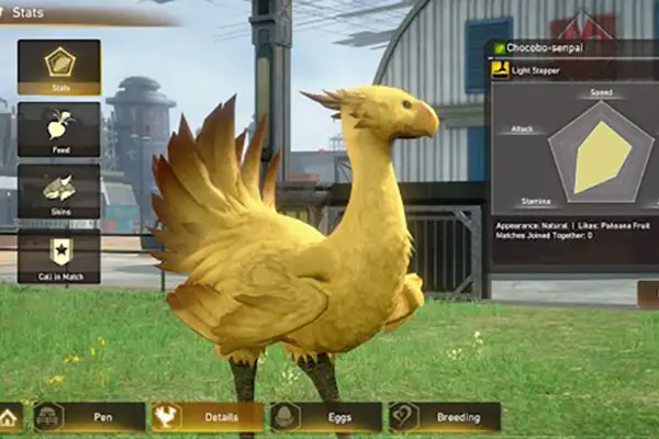 Final Fantasy VII The First Soldier Chocobo Farm