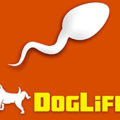 DogLife Feature Image